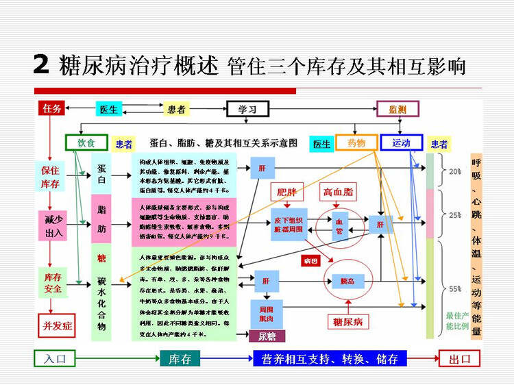 二型糖尿病最新療法研究與應用進展