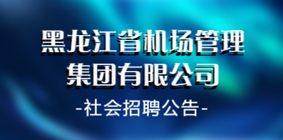 哈爾濱信息網(wǎng)最新招聘動(dòng)態(tài)，影響與展望