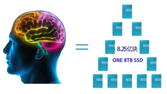 最新腦科學研究揭秘未知領域，重塑未來世界新篇章