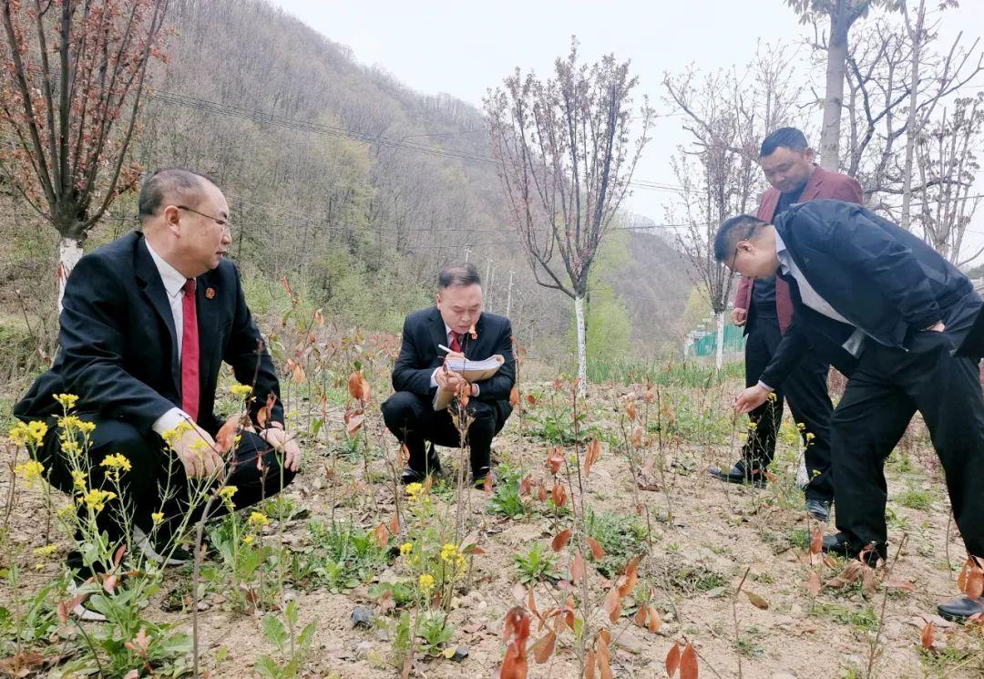 綠色守護捐贈版，共建綠色地球的未來希望