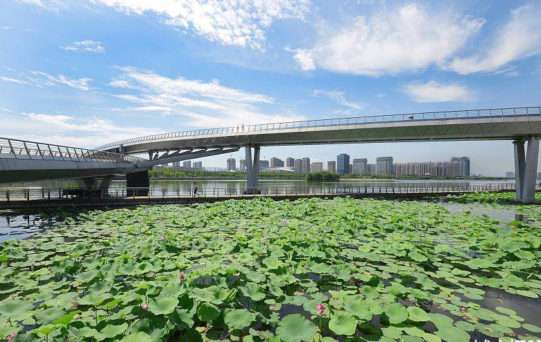 萊蕪與濟(jì)南合并最新動態(tài)，城市融合發(fā)展的前景展望