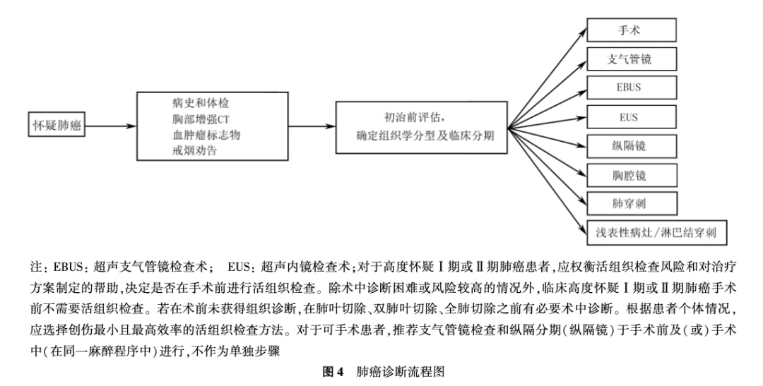 最新醫(yī)學(xué)指南，引領(lǐng)醫(yī)學(xué)進(jìn)步，照亮人類健康之路