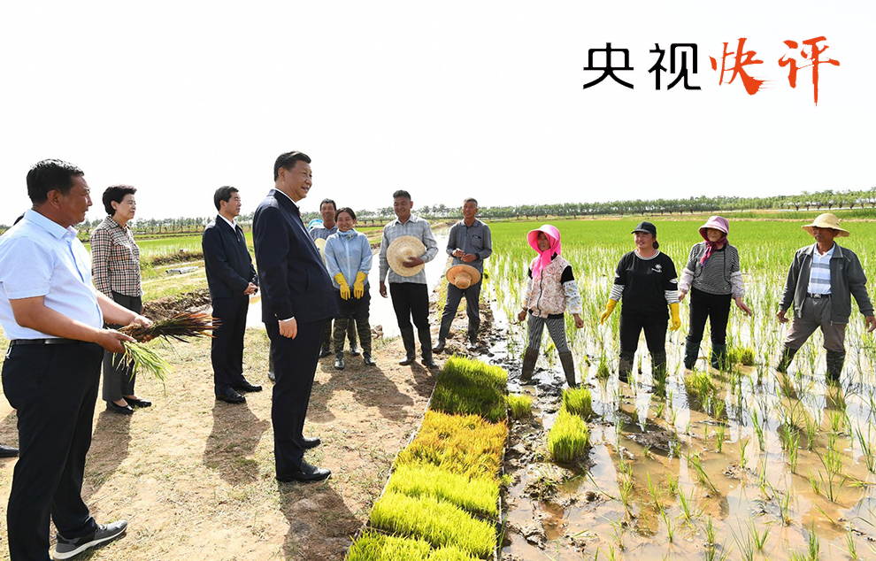 下坳村民委員會交通新聞更新，最新動態(tài)與進展