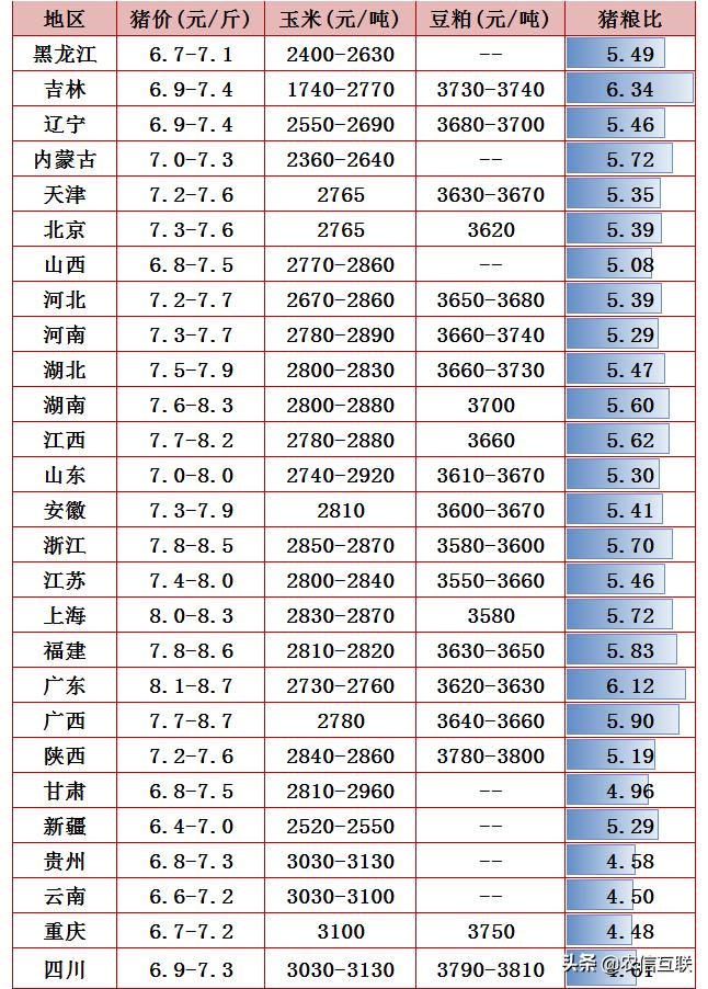 最新豬價(jià)新聞，市場(chǎng)走勢(shì)分析與預(yù)測(cè)