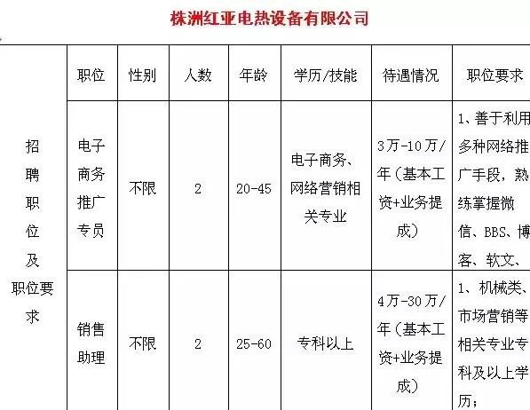 荷塘人才網(wǎng)最新招聘動態(tài)，探索職業(yè)發(fā)展無限可能