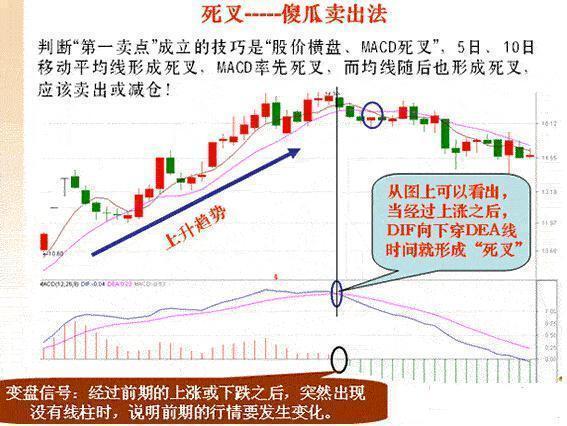 澳門今晚必開一肖期期｜實用技巧與詳細解析