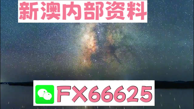 2024新澳天天彩資料大全,準(zhǔn)確資料解釋落實_XE版48.536