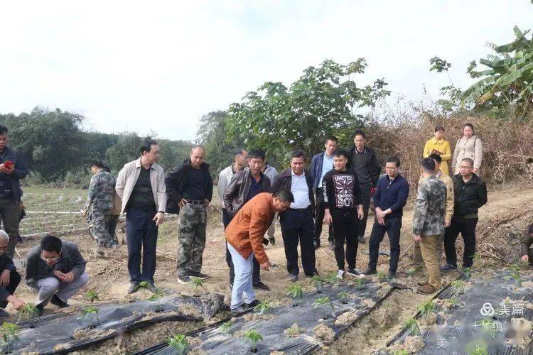 后北山村委會最新天氣預(yù)報，氣象信息及影響分析