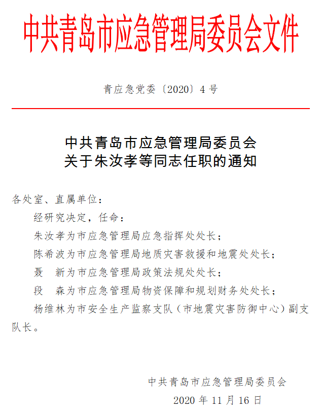 大通區(qū)應(yīng)急管理局人事調(diào)整，構(gòu)建穩(wěn)健的應(yīng)急管理體系新篇章